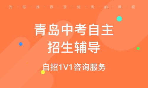 解锁名校捷径｜青岛自招综评1v1咨询服务全解析